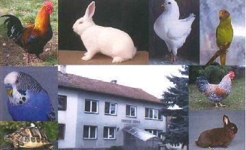 Okresní soutěžní výstava drobného zvířectva, Křenovice
